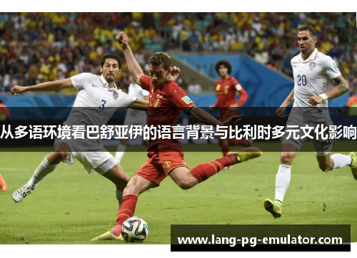 从多语环境看巴舒亚伊的语言背景与比利时多元文化影响